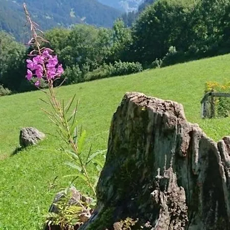 Aussergewohnlich, Einmalig, Anders Alpen-paradies In Grindelwaldburglauenen Holiday home Grindelwald